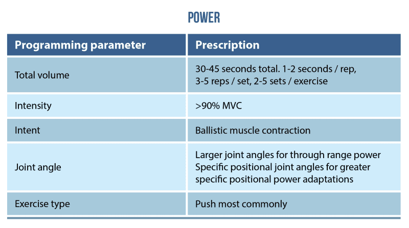 6 Tips To Improve Your Isometric Exercise Prescription Physio Network